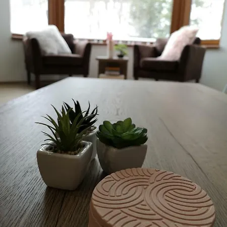 Romantic Chopok Juh 22 Apartment *