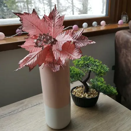 Apartment Romantic Chopok Juh 22