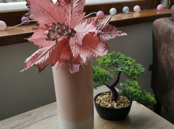 Apartment Romantic Chopok Juh 22